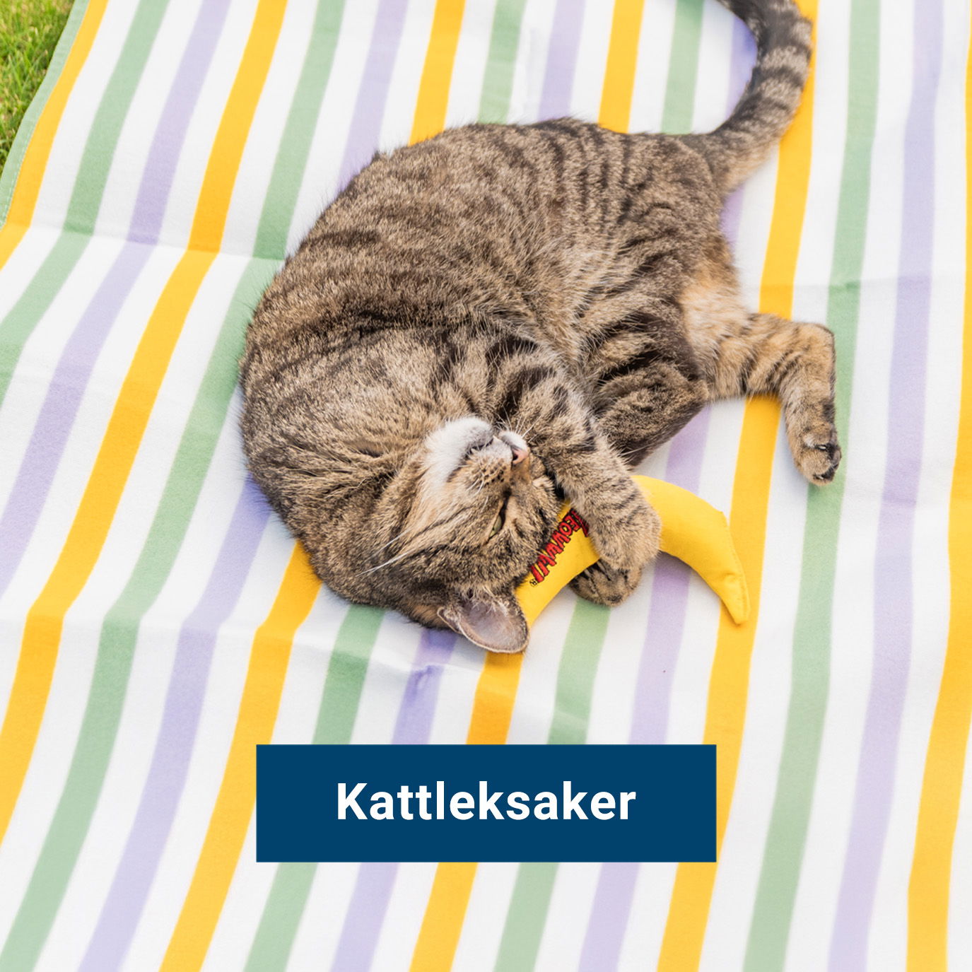 Kattleksaker