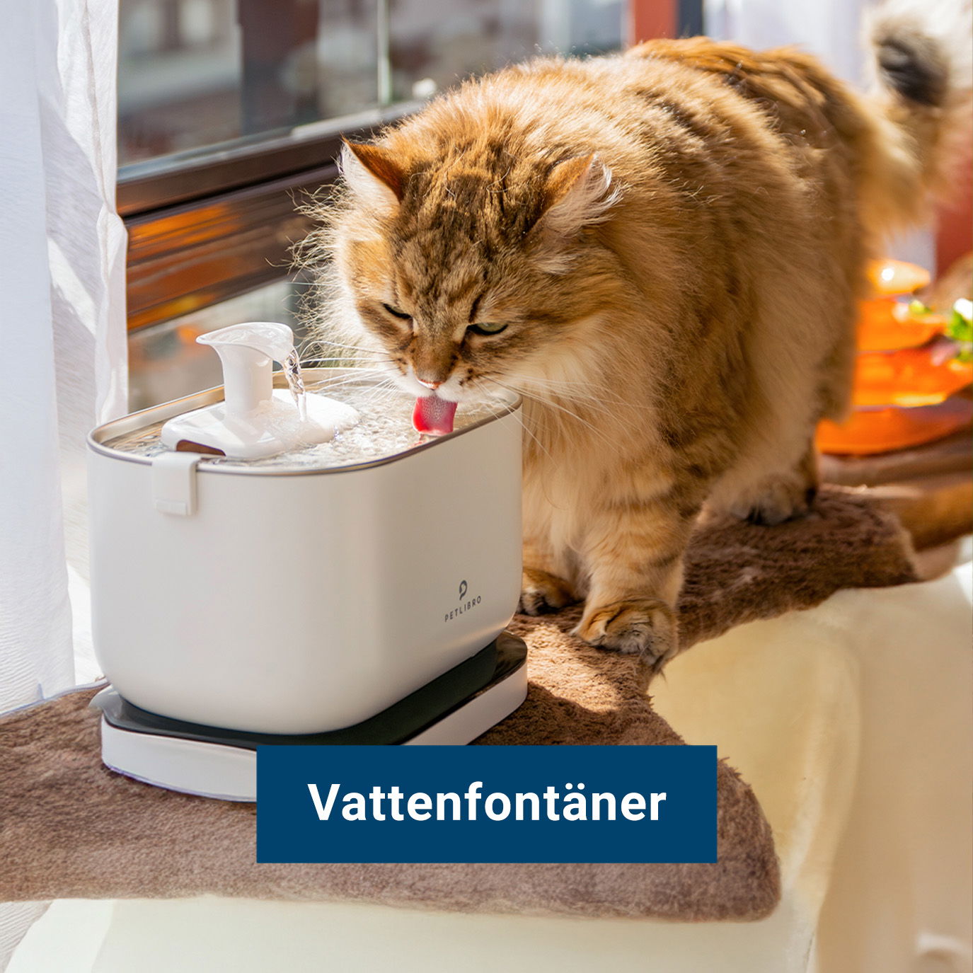 Vattenfontäner