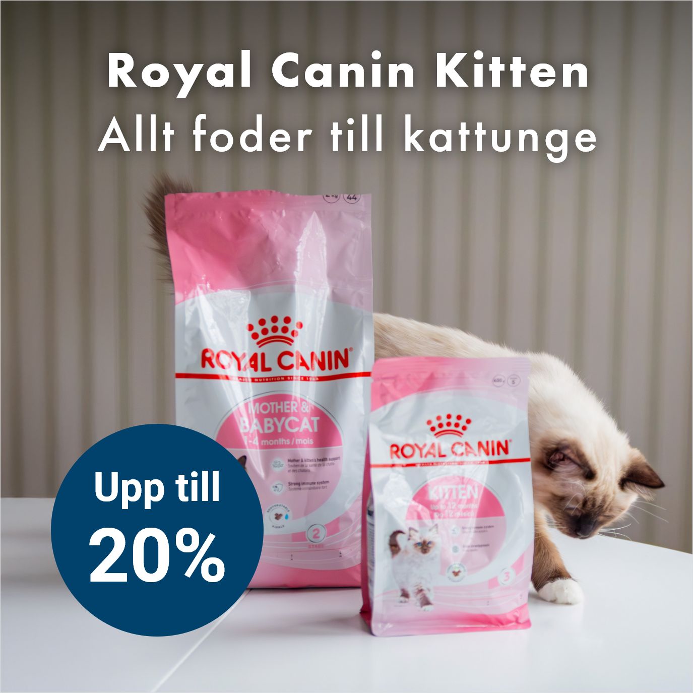 Kampanj Royal Canin