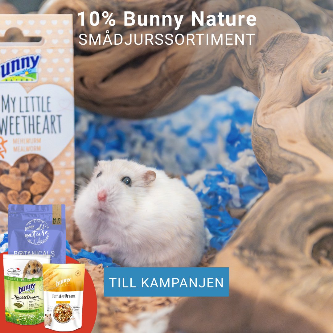 Kampanj Bunny Nature