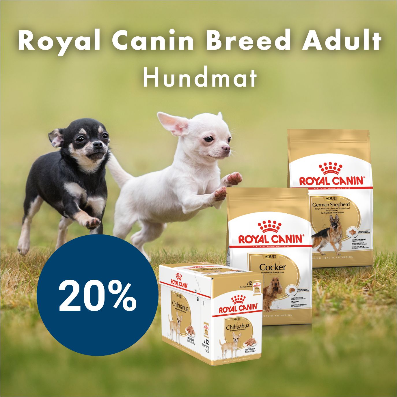 Kampanj Royal Canin