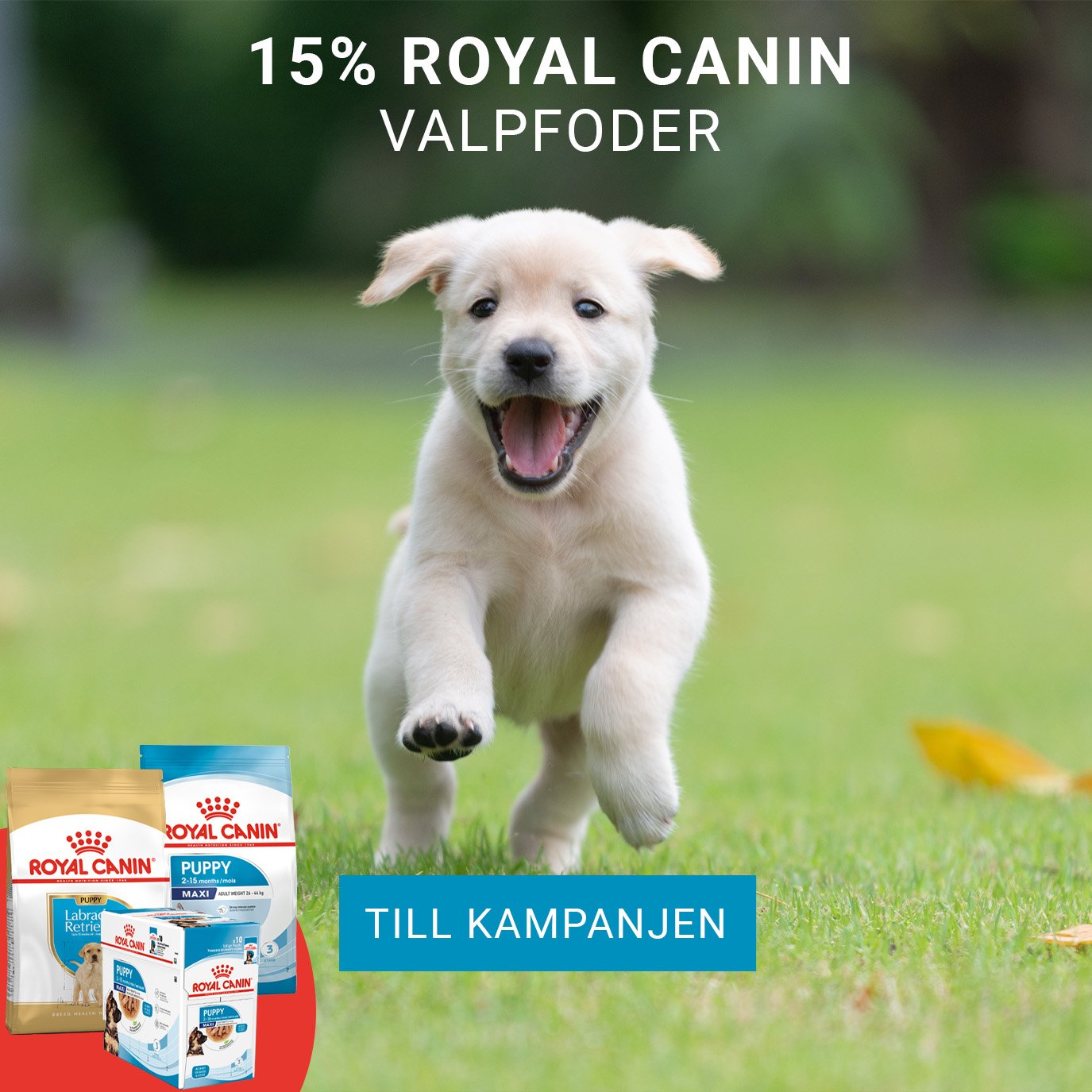 Kampanj Royal Canin valp