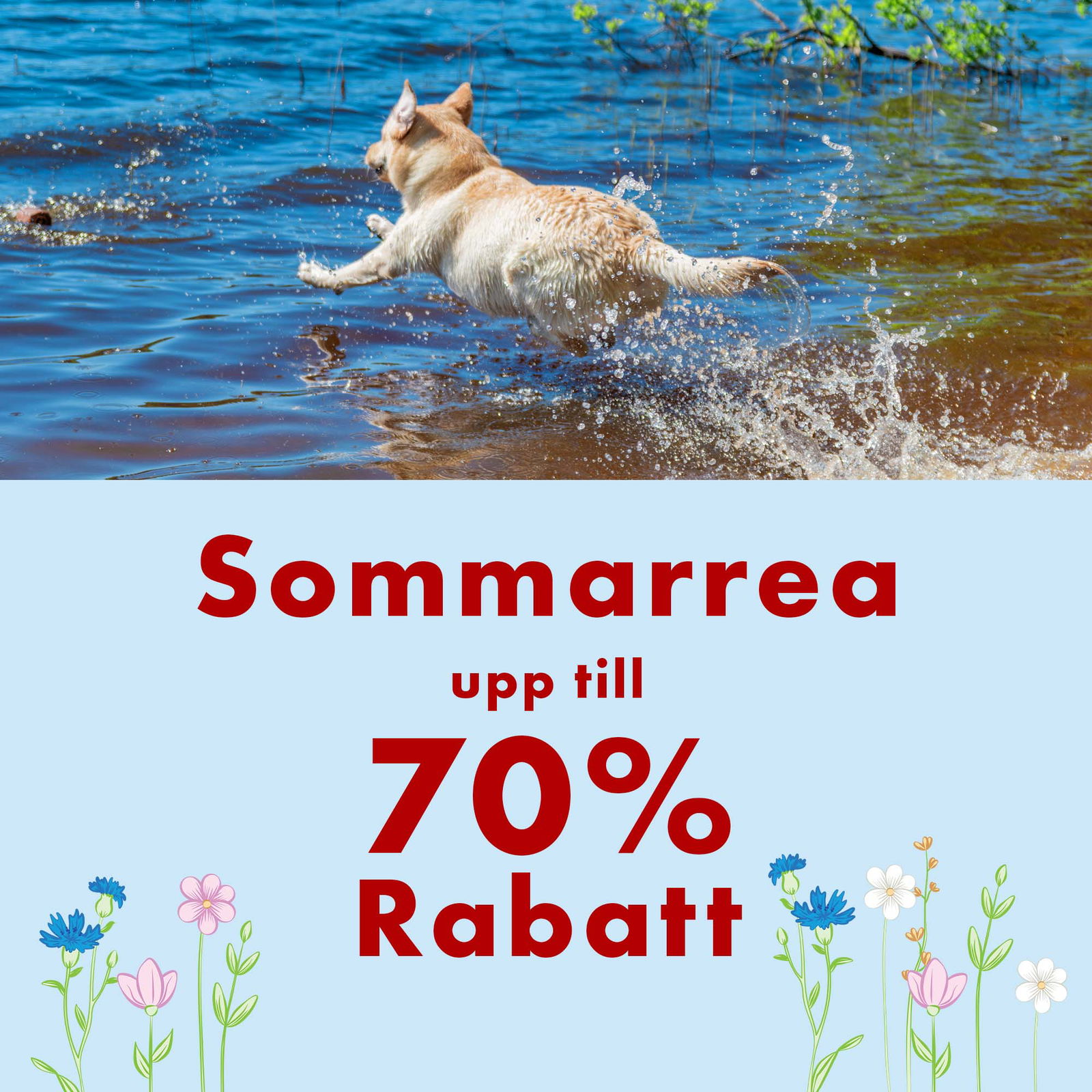 Sommarrea