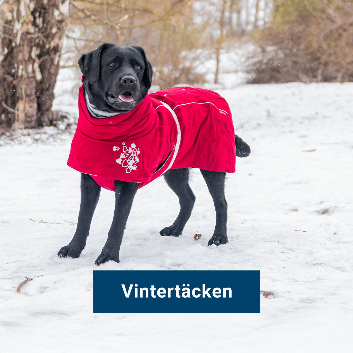 Vintertäcken