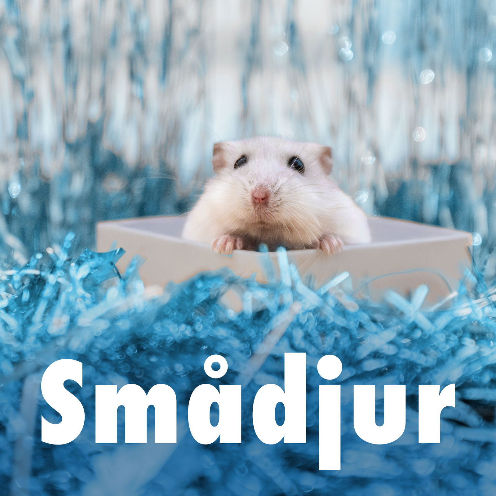 Kampanj till smådjur