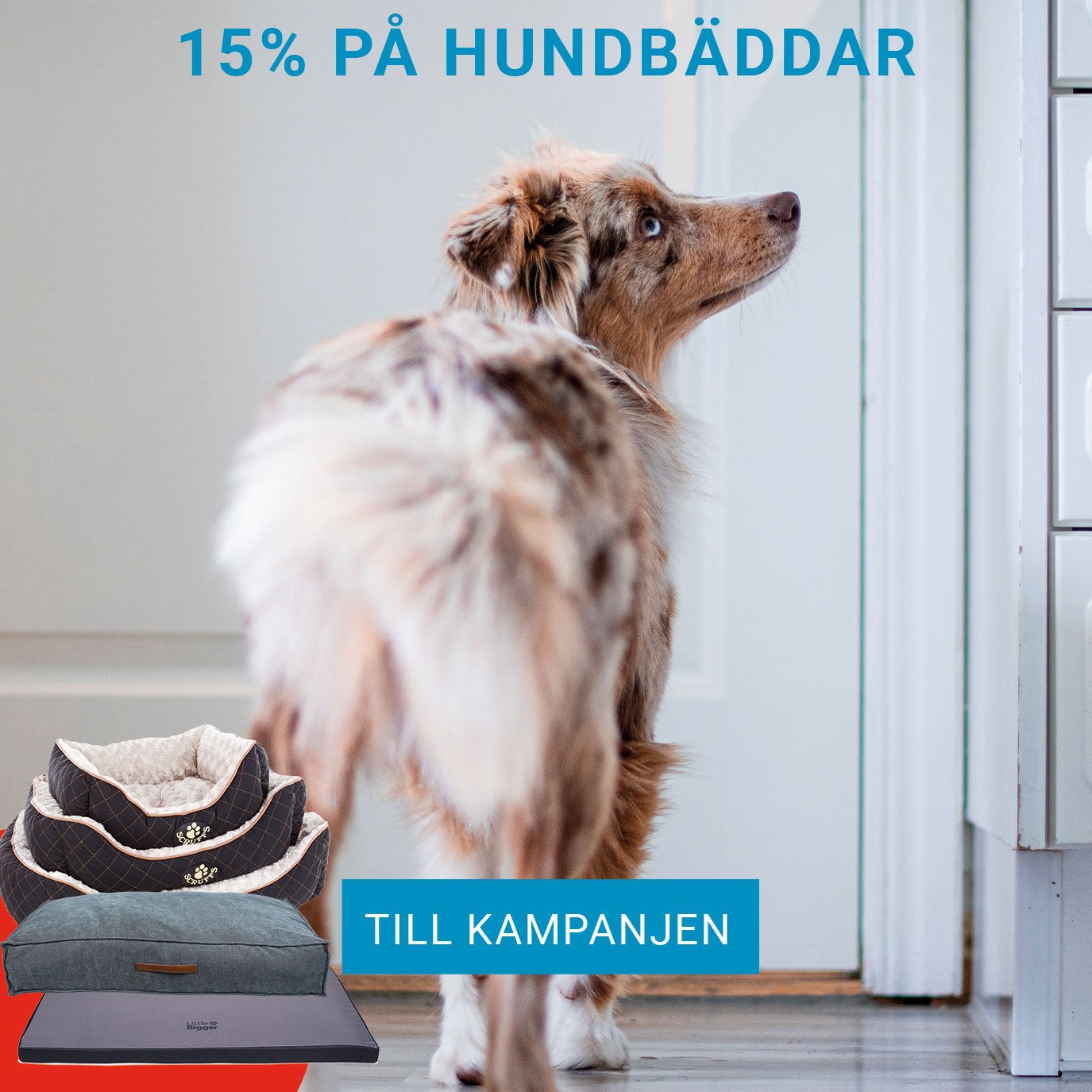 Handla på VetZoo - Vetzoo