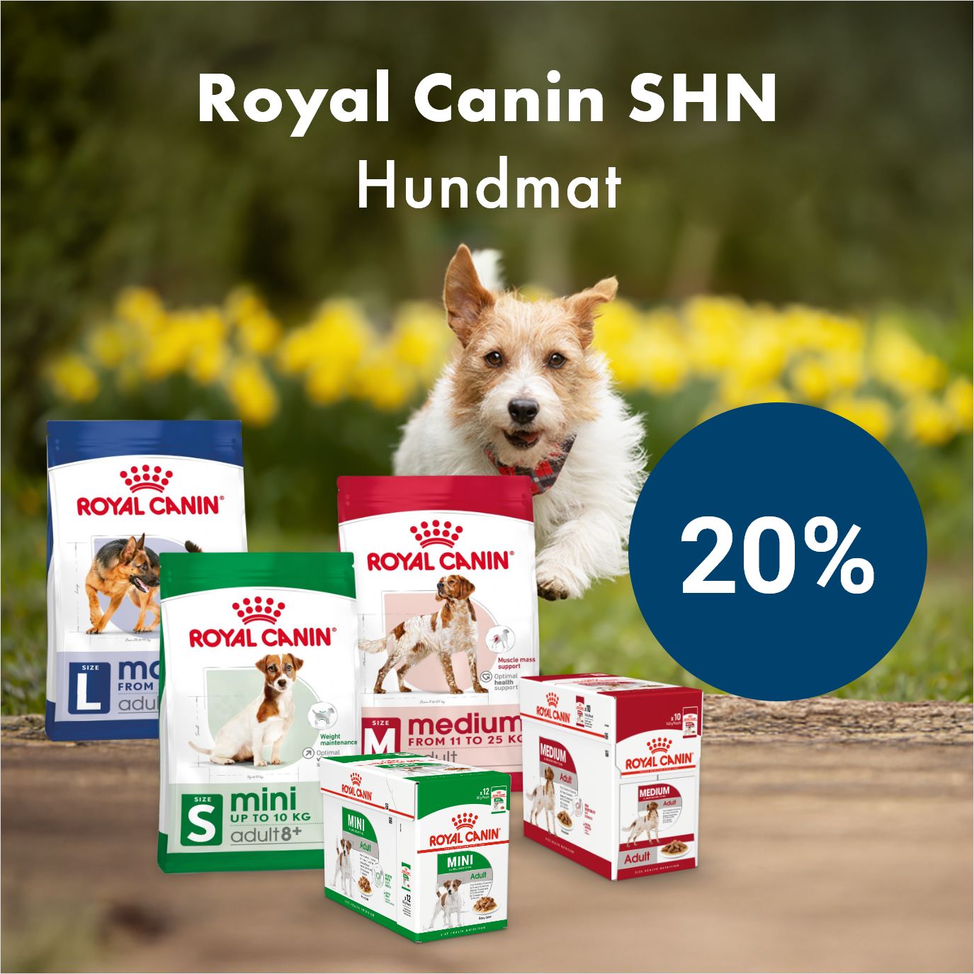 Kampanj Royal Canin