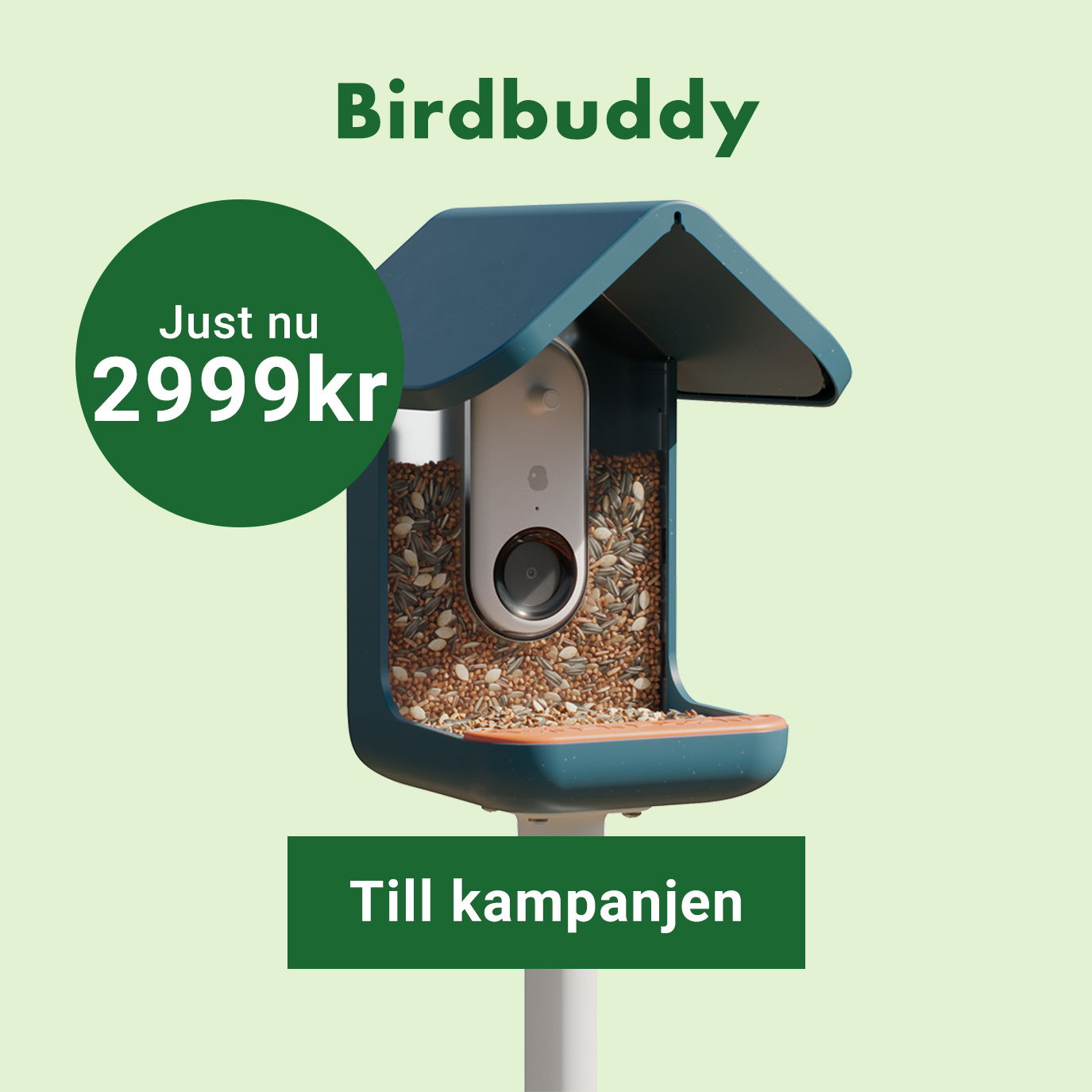 Kampanj birdbuddy