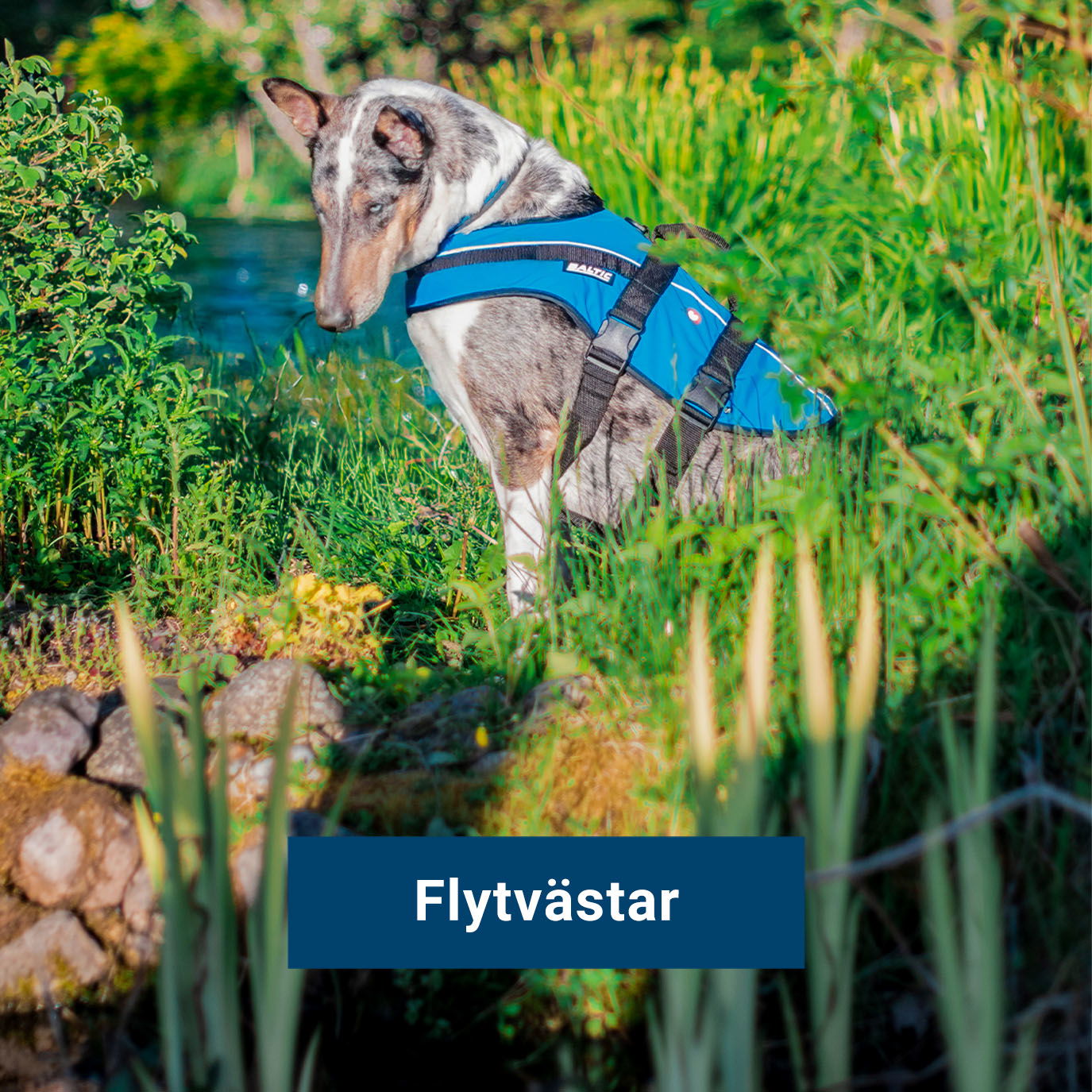 Flytvästar