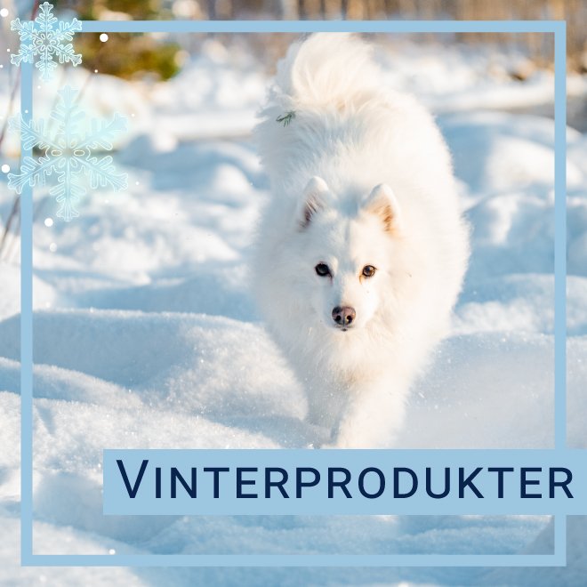 vinterprodukter hund