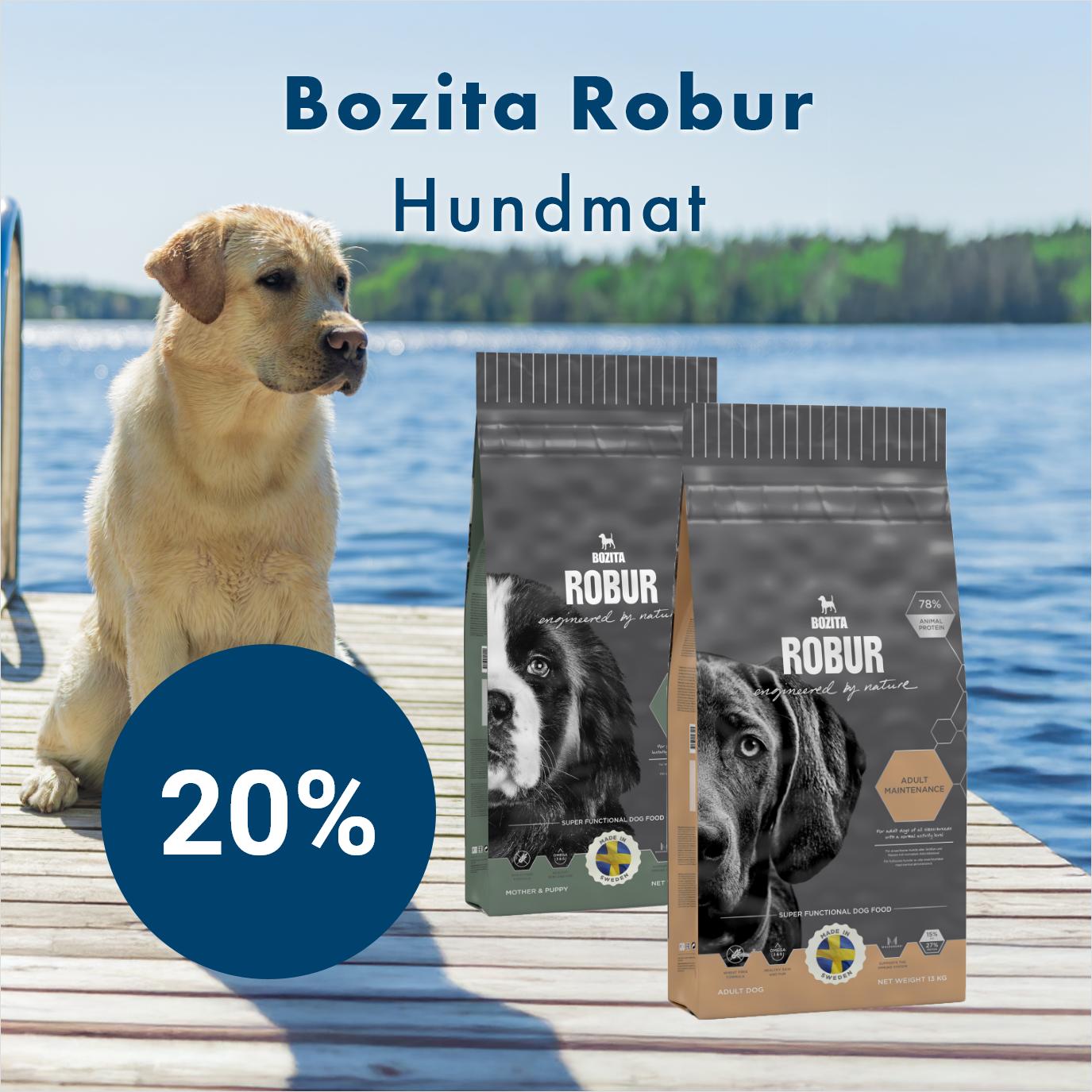 Kampanj Bozita Robur