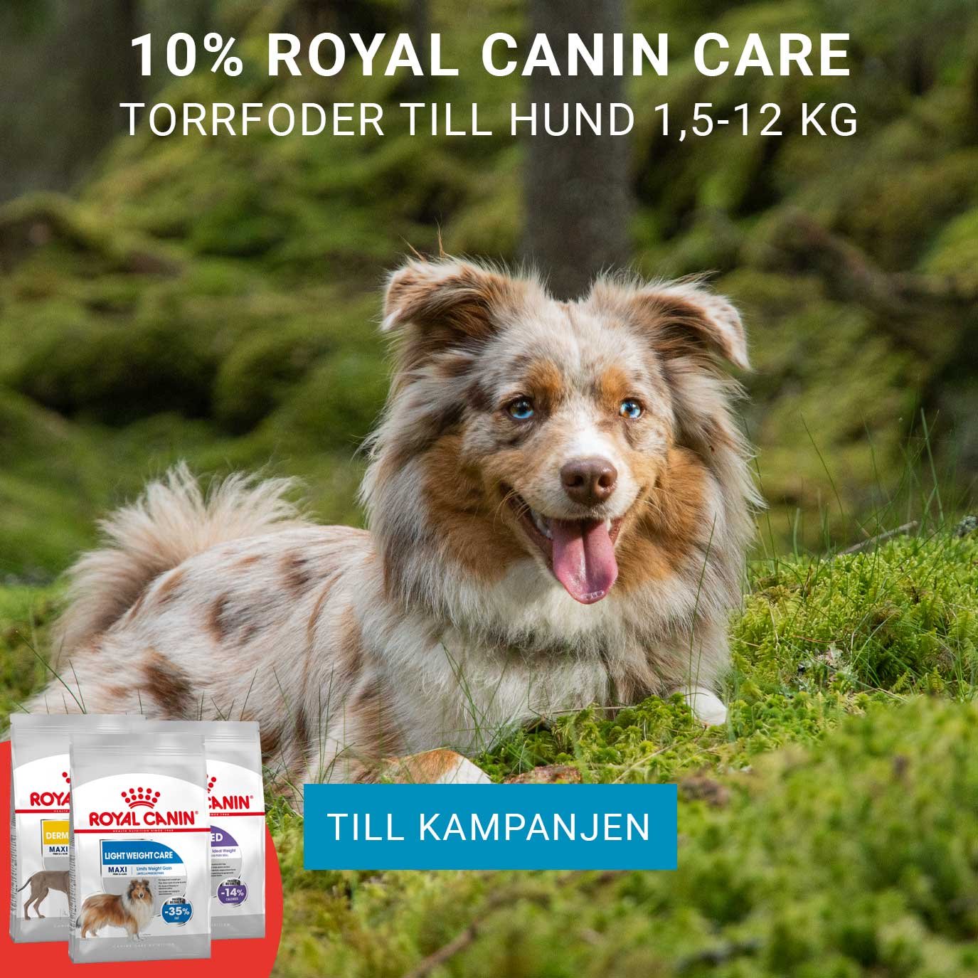 Kampanj 10% Royal Canin care