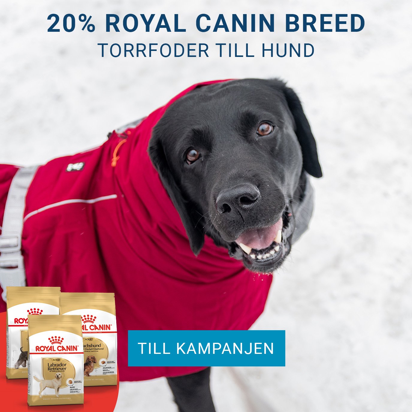 Kampanj Royal Canin 