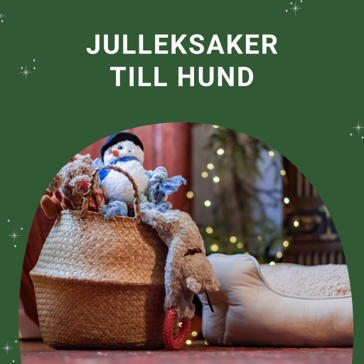 Julklapp och julklappstips till hund! Snabb hemleverans hos VetZoo