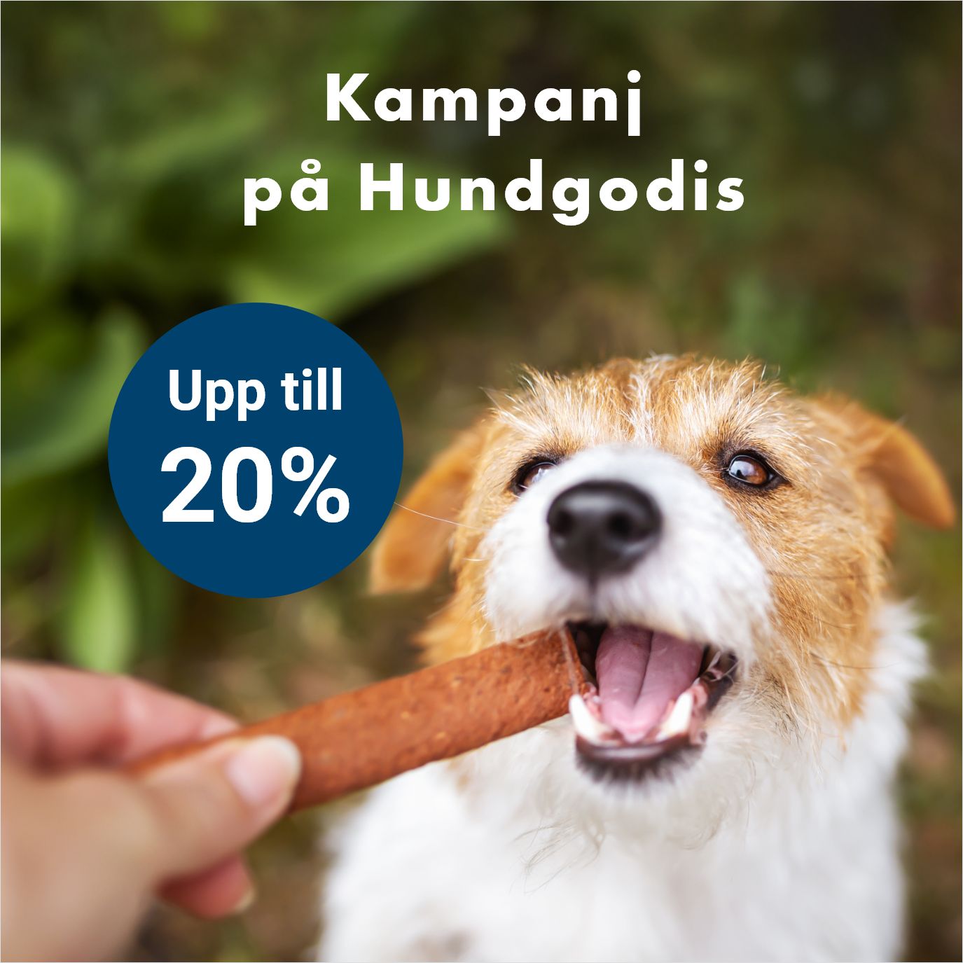 Kampanj på Hundgodis