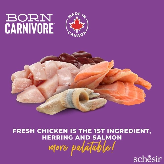 Schesir Born Carnivore Chicken & Herring