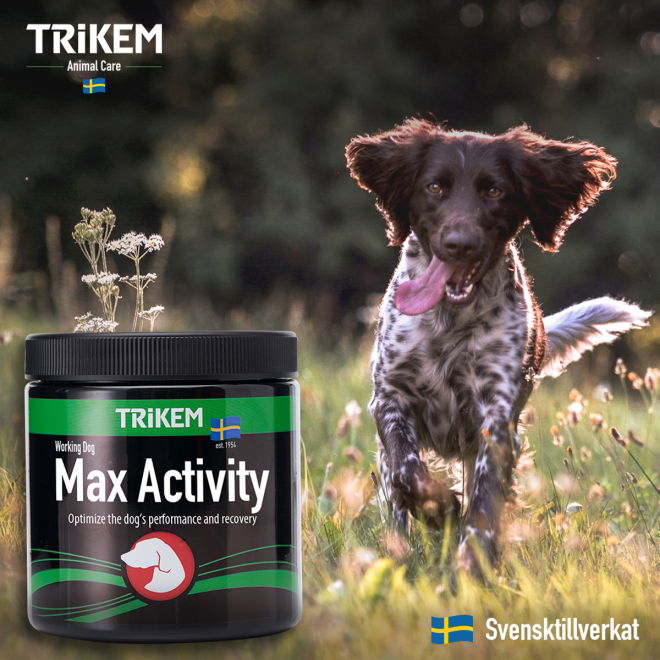 Trikem WorkingDog Max Activity