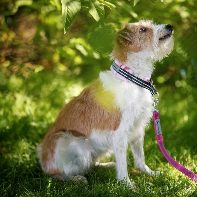 Kusse & Kutta Grip Hundkoppel med BGB-hake 300 cm (Rosa)
