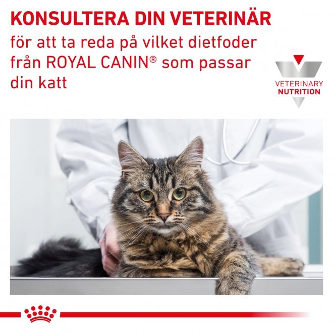 Royal Canin Veterinary Diets Cat Renal Select - Veterinärfoder till katt /  Veterinärfoder