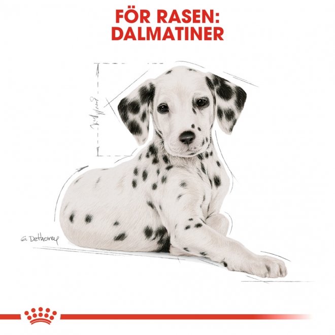 Royal Canin Breed Dalmatiner Puppy 12 kg
