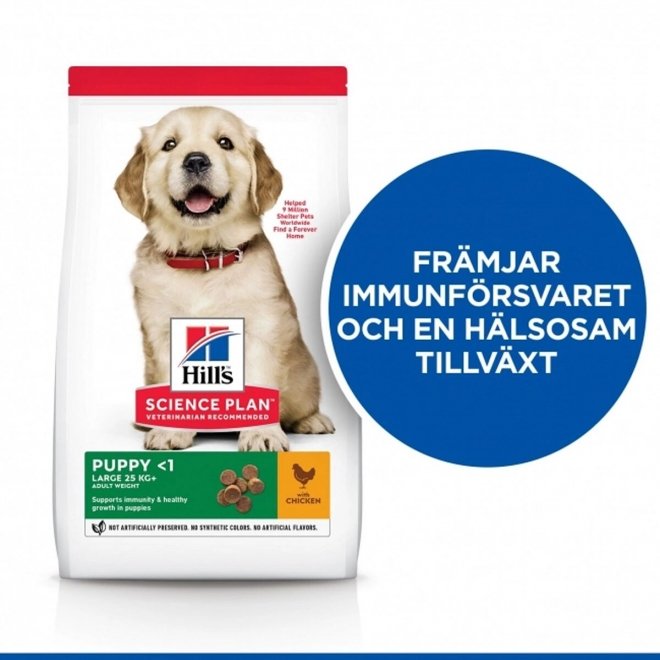 Hill&#39;s Science Plan Puppy Large Breed Chicken 2x14,5 kg