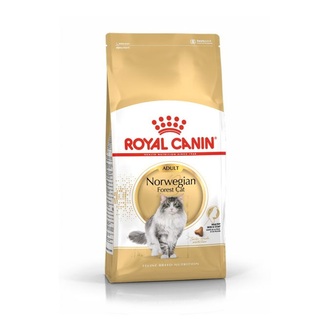 Royal Canin Norsk Skogkatt