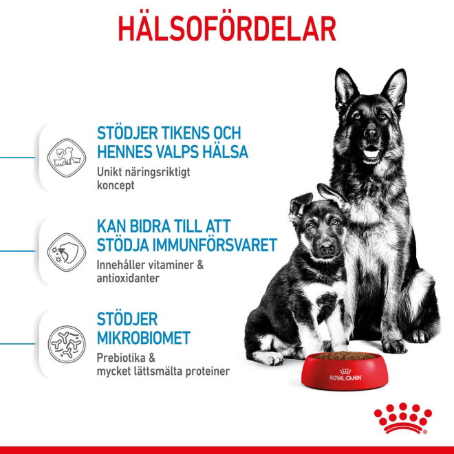 Royal Canin Maxi Starter