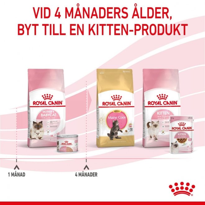 Royal Canin Mother & Babycat Starter Mousse