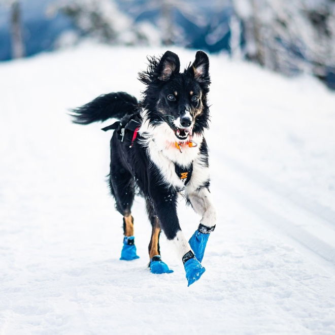 Non-stop Dogwear Long Distance Bootie 4-pack