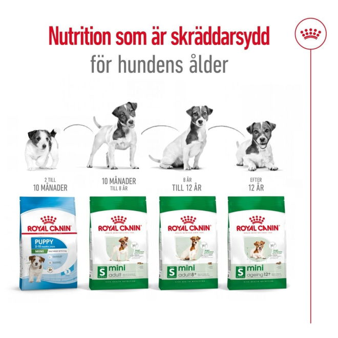 Royal Canin Mini Adult 8+