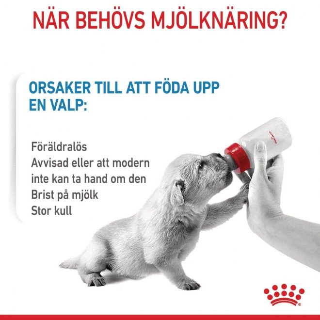 Royal Canin Babydog Milk