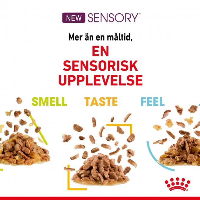 Royal Canin Sensory Taste 12x85 g