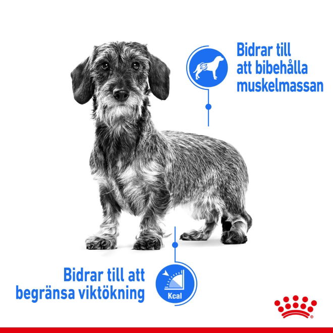 Royal Canin Light Weight Care wet