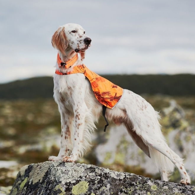 Non-Stop Dogwear Camo Hundväst Orange