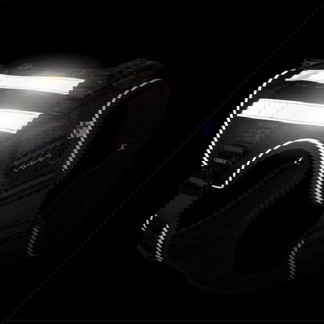 Cerberos Reflexremmar 2 st