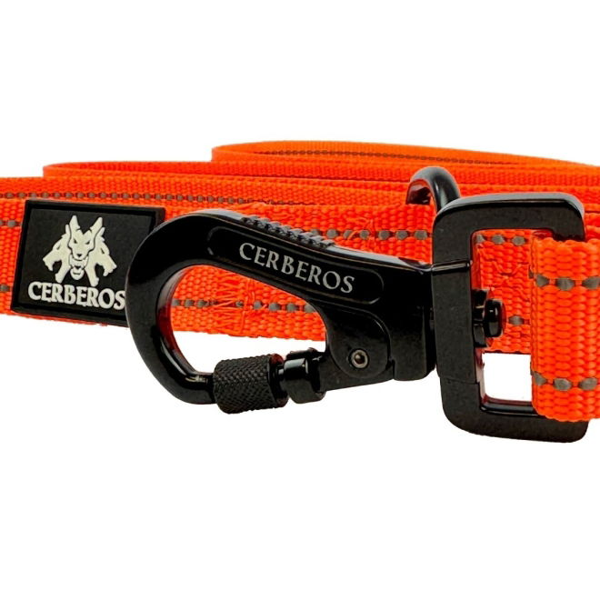 Cerberos Hundkoppel Orange 3 m