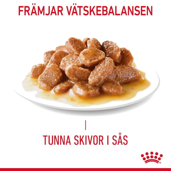 Royal Canin Digest Sensitive Våtfoder (12x85g)