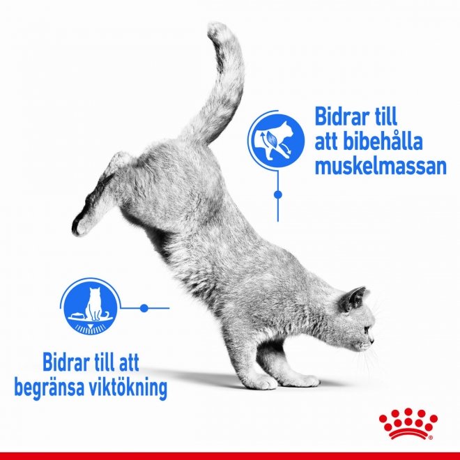 Royal Canin Cat Light Weight Care Jelly Våtfoder (12x85g)