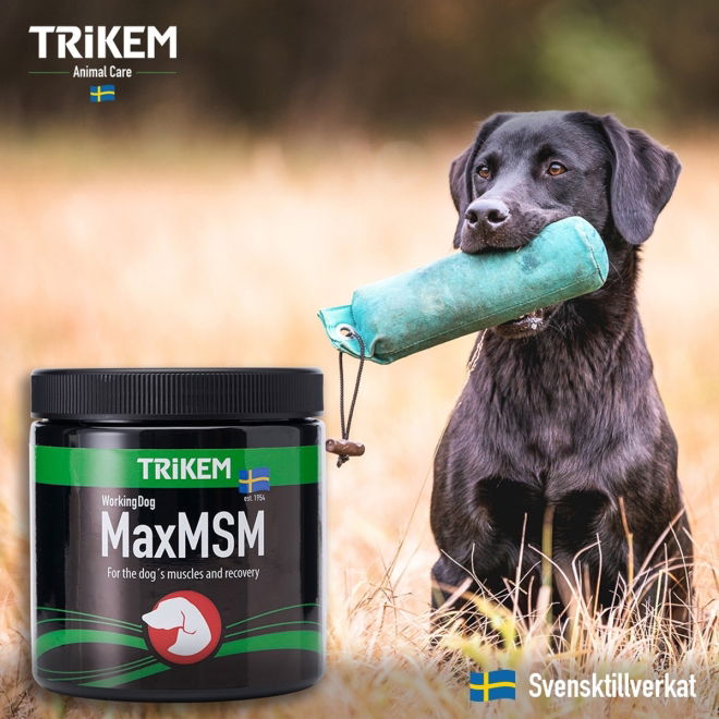 Trikem WorkingDog Max MSM+ 450 g