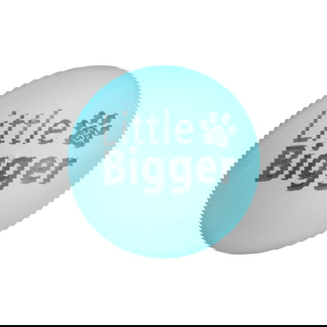 Little&Bigger HotSummer Gummiboll 6 cm (Turkos)