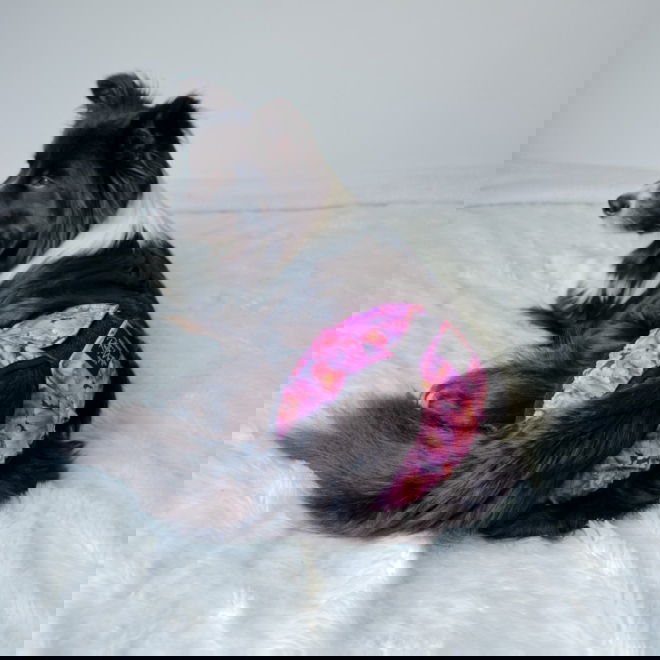 RuttuNuttu Tikskydd Pion Rosa