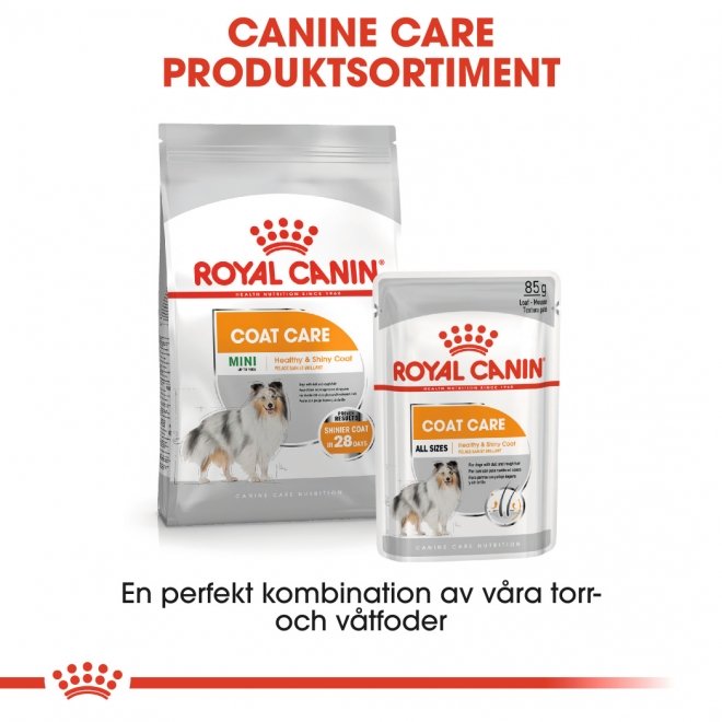 Royal Canin Coat Care Adult Wet