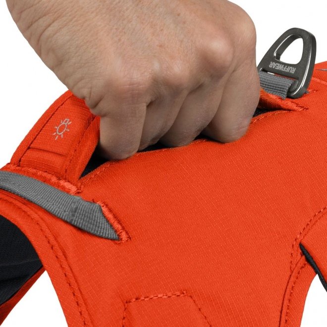 Ruffwear Web Master Hundsele Orange