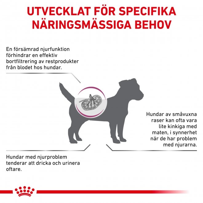 Forsendelse Spis aftensmad Hubert Hudson Royal Canin Veterinary Diets Dog Renal Small Dogs 3,5 kg - Veterinärfoder  till hund / Veterinärfoder