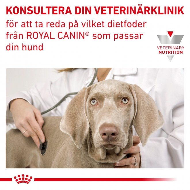 Royal Canin Veterinary Diets Dog Gastrointestinal Puppy 12 x 195 g