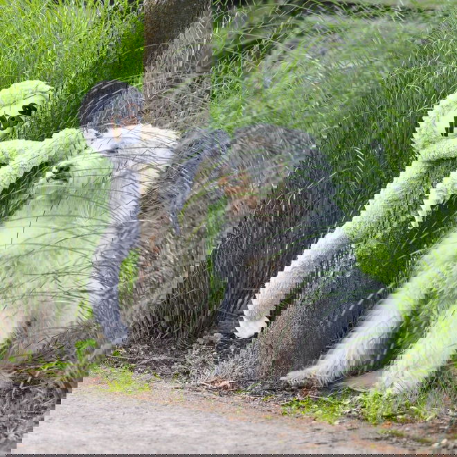 Beeztees Jungle Mjukisdjur till Hund Sengångare (XL)