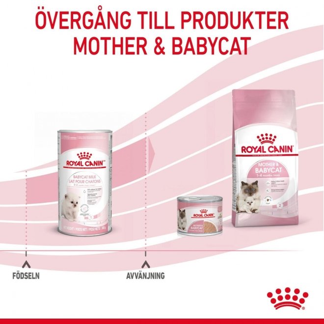 Royal Canin Babycat Milk