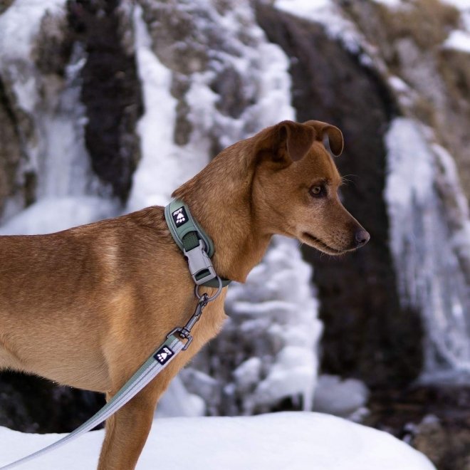 Hurtta Weekend Warrior ECO Hundhalsband Grön