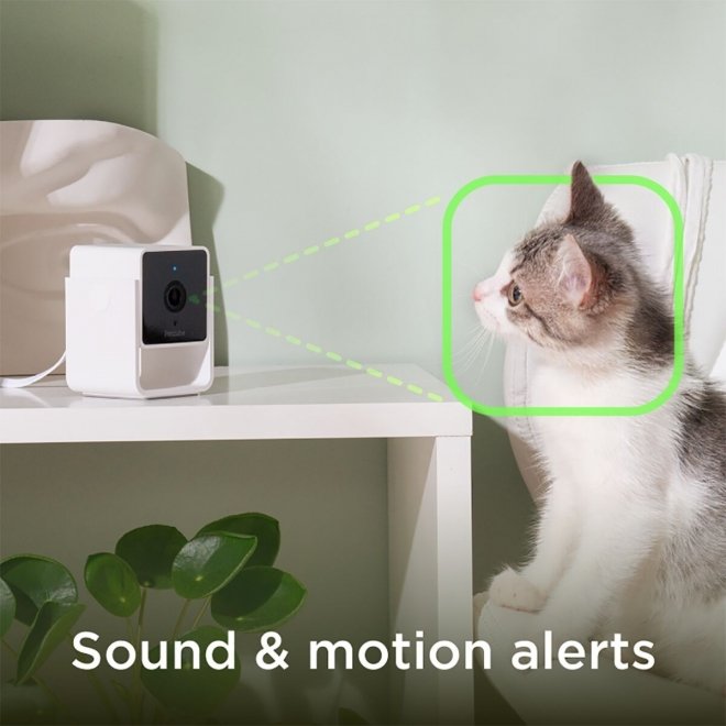 PetCube Cam Husdjurskamera med Ljud