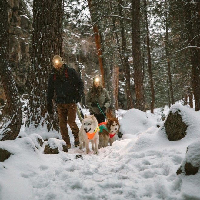 Ruffwear Lumenglow High-Visibility Hundjacka med Reflexdetaljer Orange/Gul